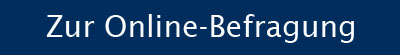 Online Befragung